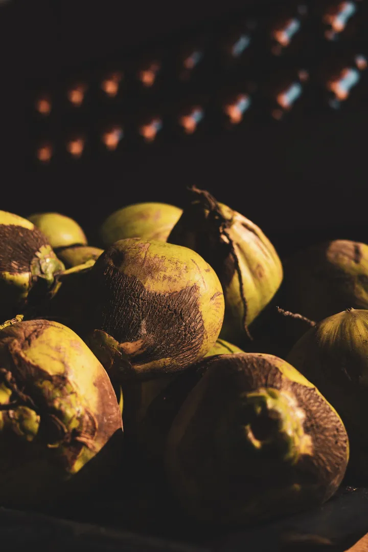 Un tas de noix de coco vertes et brunes, la bourre arrachée, en lumière très basse ; derrière, la nuit piquée des points de lumière d’un toit ajouré.