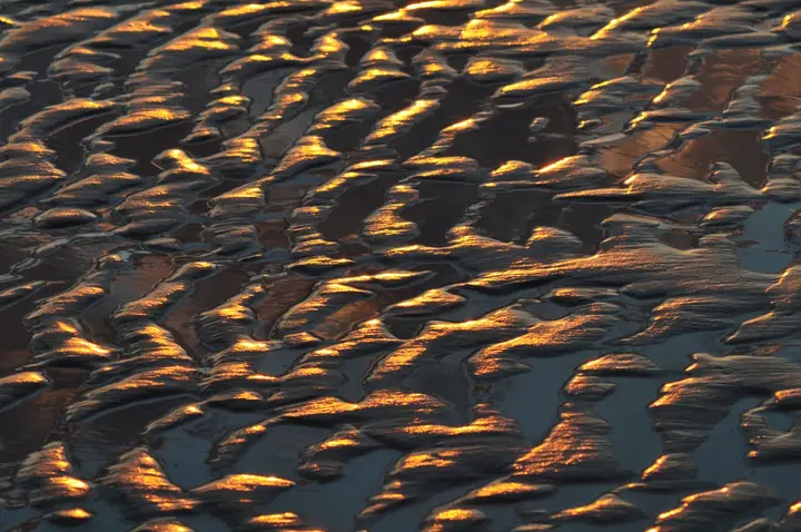 Une pellicule d’eau sur du sable ridé : chaque ride s’allume d’un filet d’or au ras du soleil couchant.